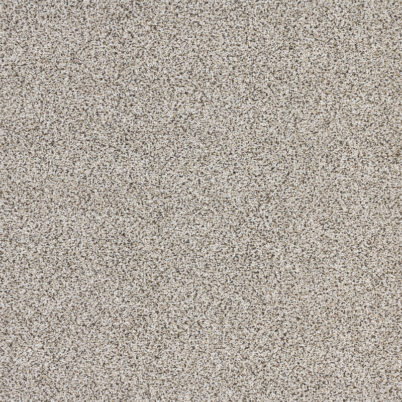 Intrigue_Allure_Carpet